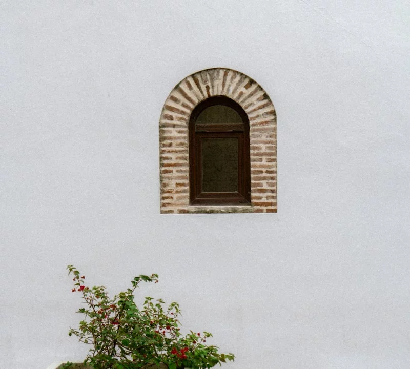 A window and plant sit against a white wall.